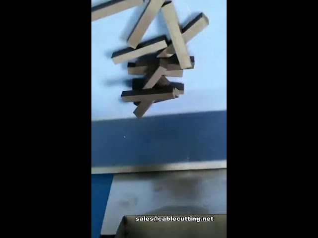 Cortadora automática de láminas de caucho | Máquina de precisión para formas sólidas