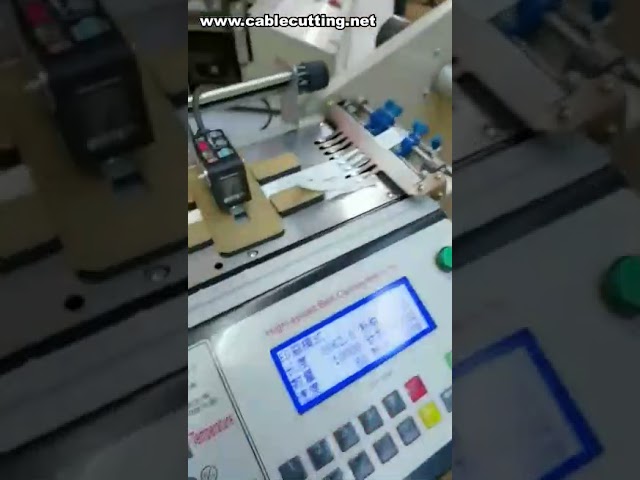 Máquina Cortadora de Etiquetas en Caliente y Frío | Cortadora de Alta Velocidad y Automática