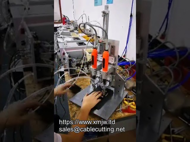 Z-Axis Up-Down Moving Automatic Screw Locking Machine with Auto Feeding Screwdriver Device
