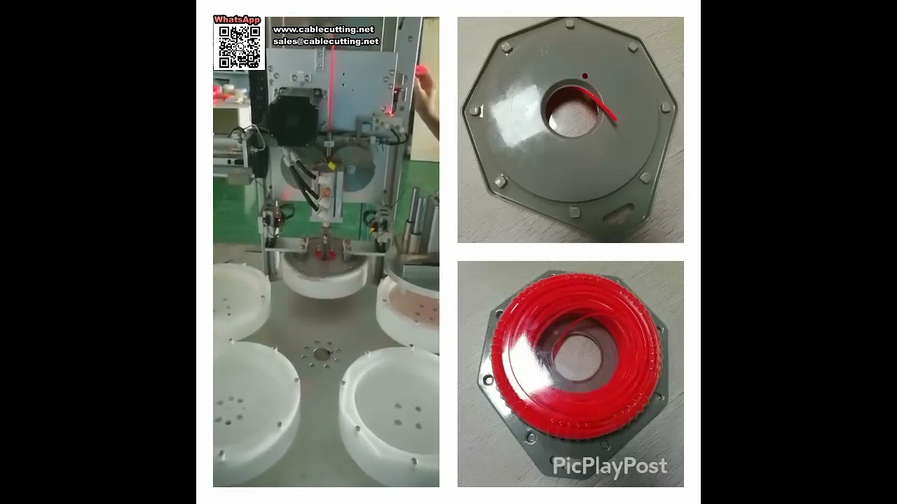 Máquina Automática de Bobinado de Blister a Presión para Envase de Cuerdas de Recortadora