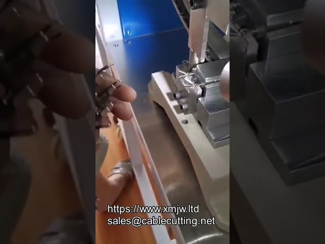 Máquina semiautomática de crimpado para clavija de inserción de 2 pines