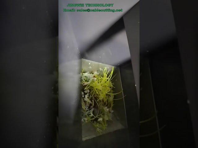 Trituradora de Plástico 220V, 10 kg/h – Mini Multifuncional para Laboratorio
