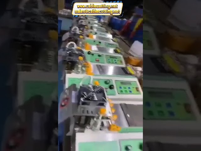 Máquina Cortadora de Cinta con Control Microcomputarizado | Cuchilla Caliente y Fría | 110V/220V 400W