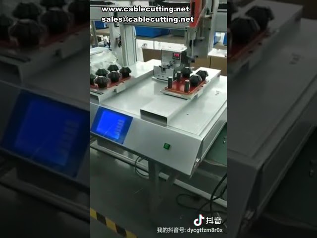 Dispensador de doble plataforma y doble eje Y | Trabajo alternativo en pistas dobles