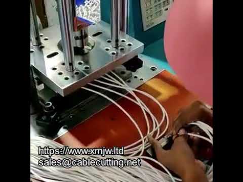 Máquina de moldeo por inyección automática para cables USB y de carga | WPM-15