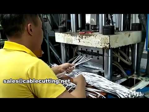 Máquina de moldeo por inyección vertical WPM-701-2T