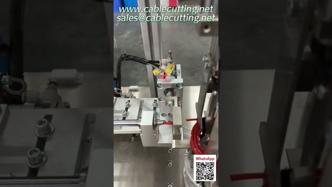Máquina Automática de Empaquetado para Línea de Recorte de Tarjetas Colgantes